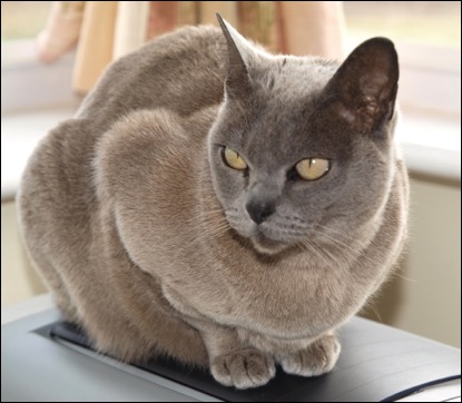 1 Demi-280226-005-sm