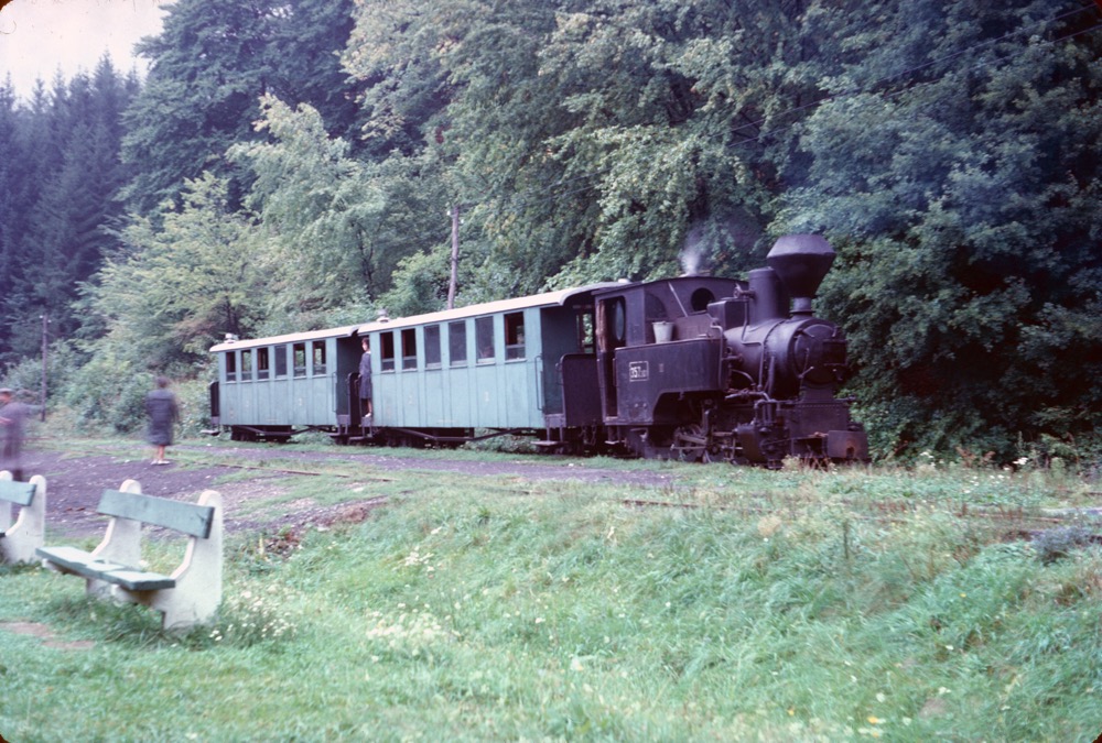 Forest Line at the terminus.