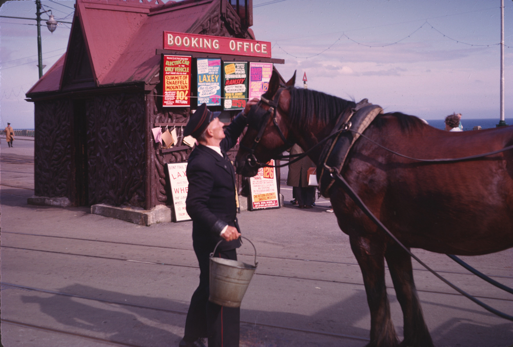 Douglas tram horse & driver.