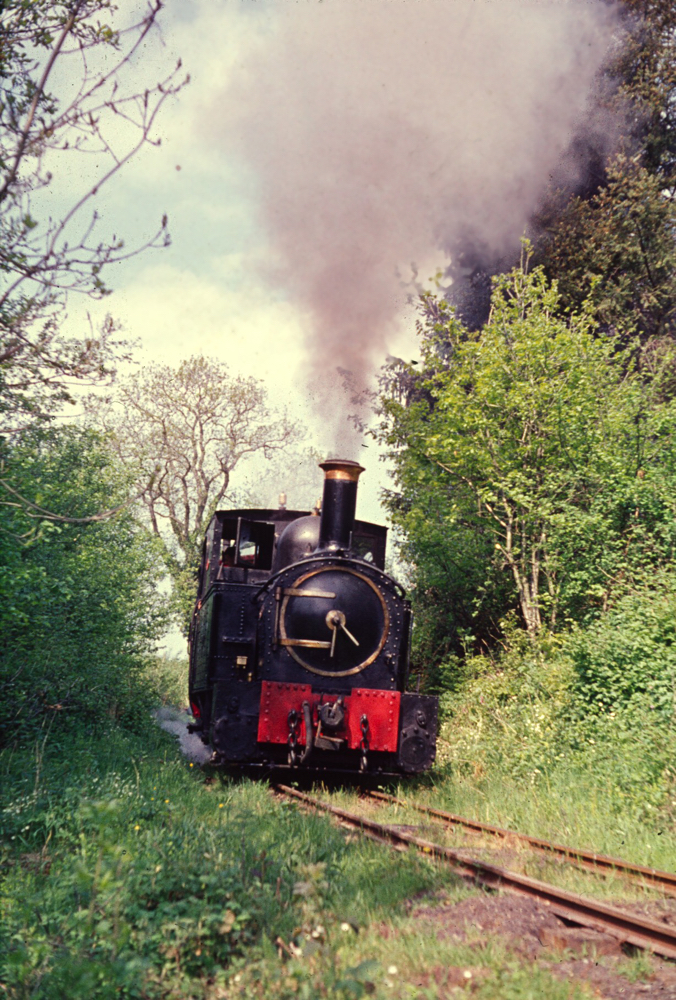 The Earl rounds the curve near Heniarth