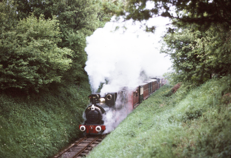 Talyllyn and Dolgoch in Wharf Cutting