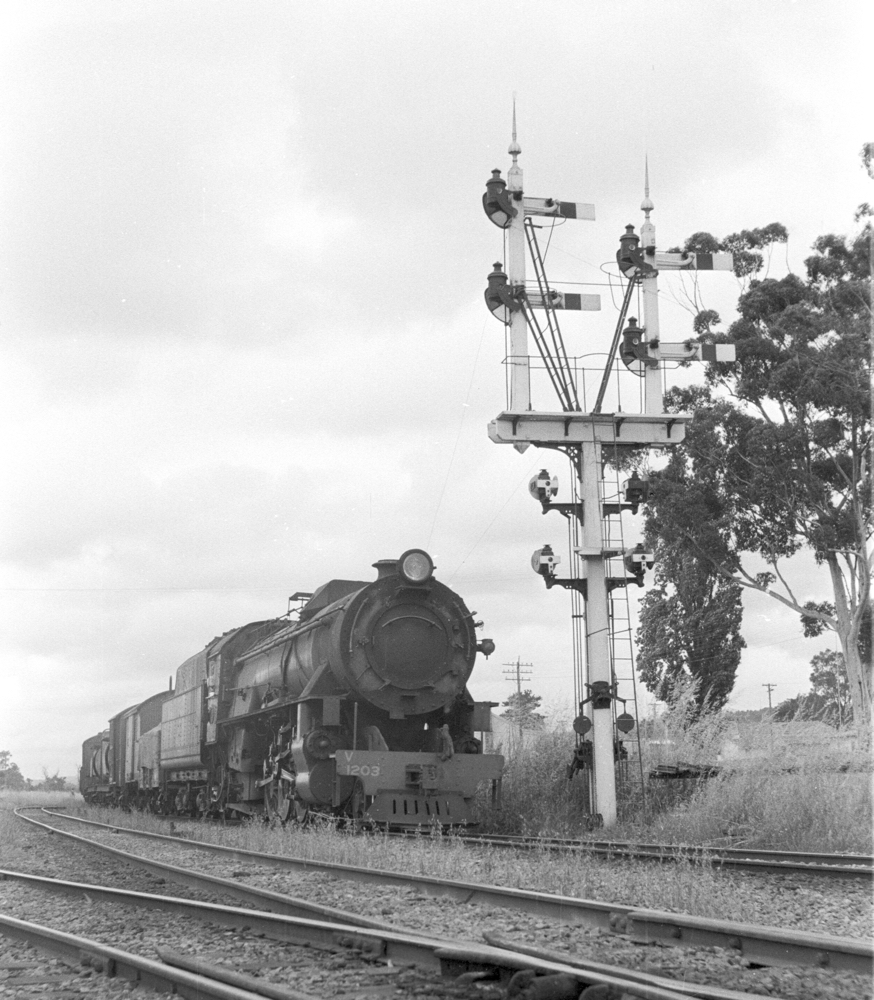 WAGR Class V 1203 waiting for the road