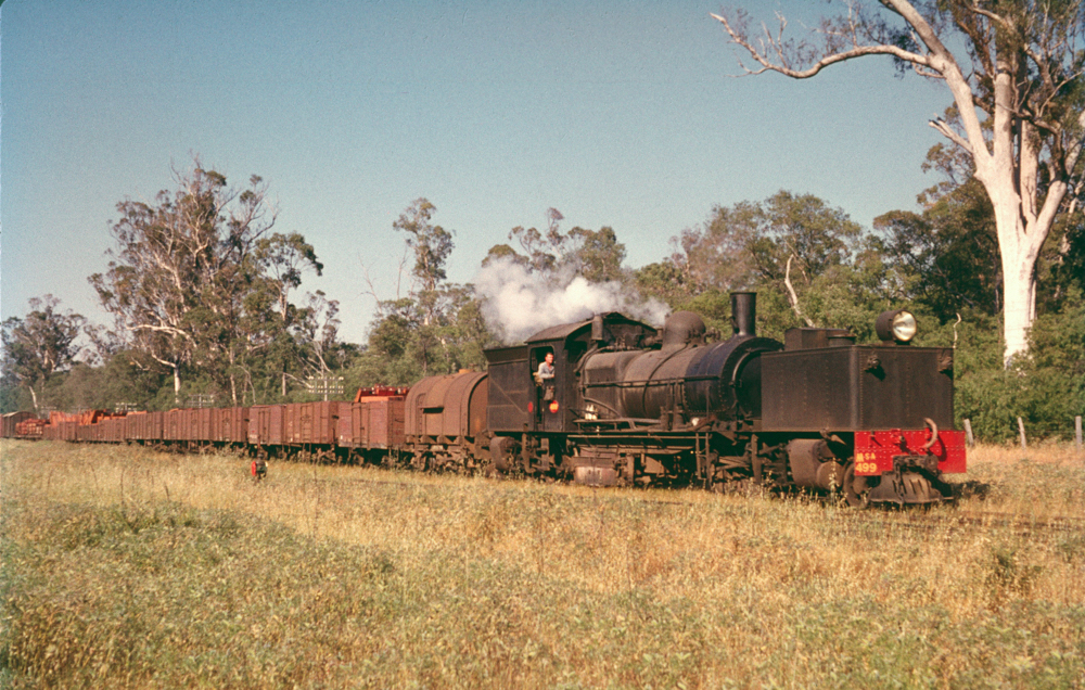 MSA 499 at Busselton