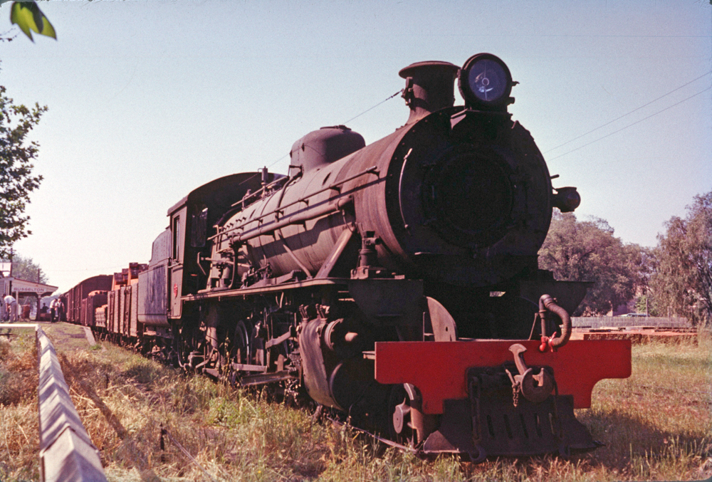 WAGR W Class at Busselton