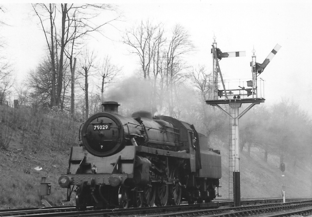 David Shepherds Std 5 75029 at Virginia Water on way to Longmoor