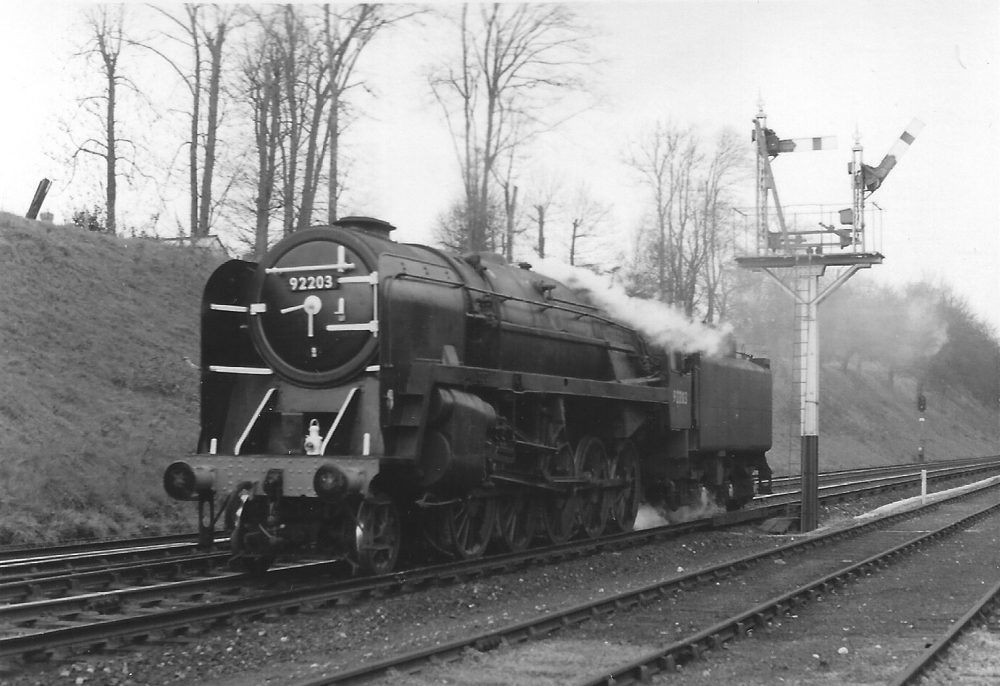 David Shepherd's 9F (later named Black Prince) at Virginia Water