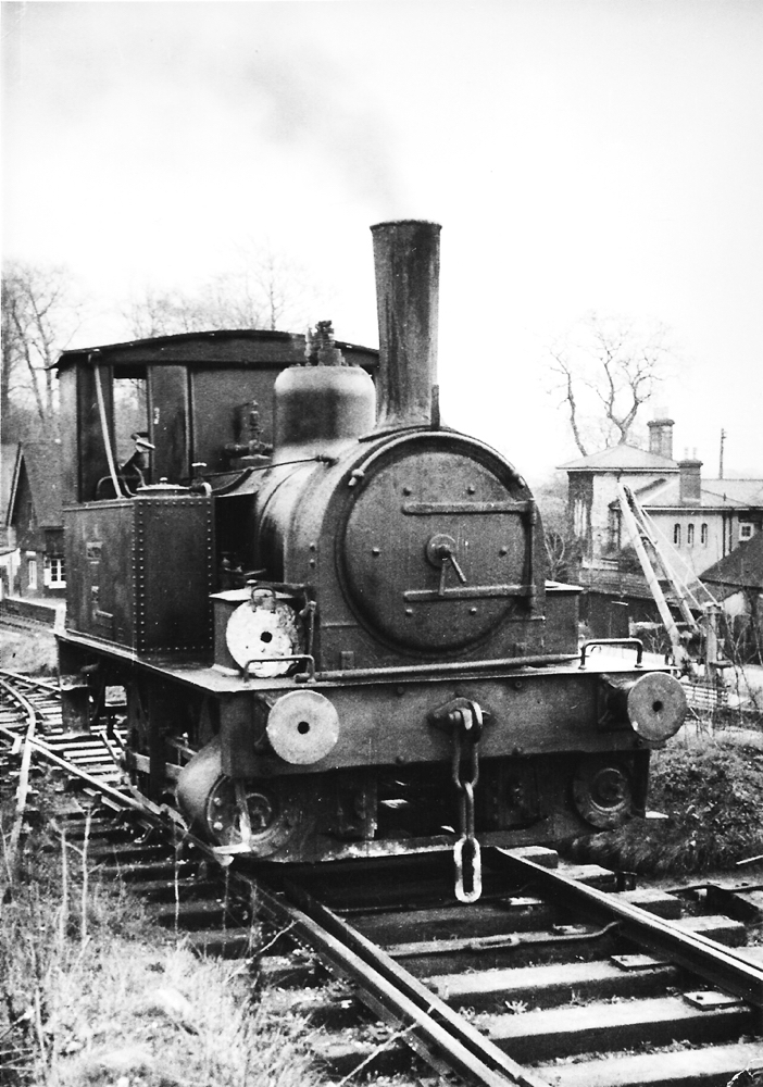 Baxter at Betchworth lime quarries