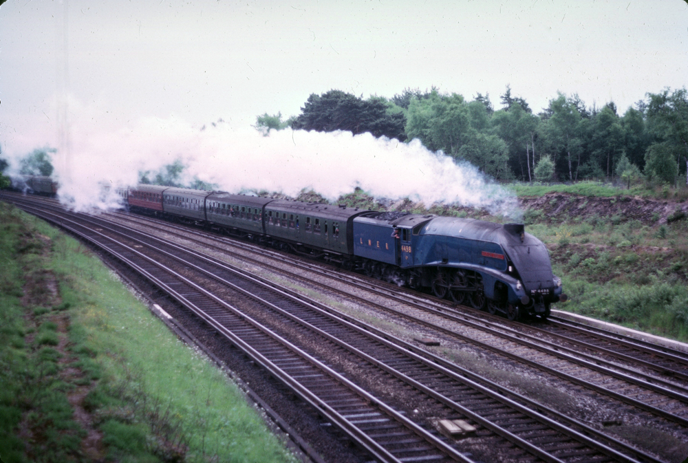 Sir Nigel on the up local west of Woking