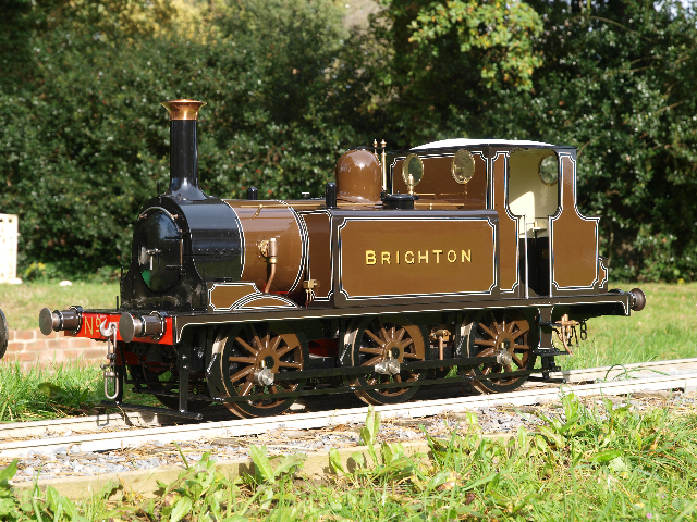 A 10 &frac14; Terrier 'Brighton'